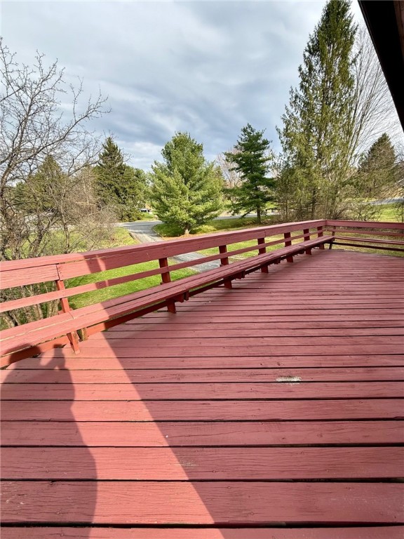 52 Spring Run Road, Dryden, New York image 9