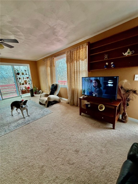 52 Spring Run Road, Dryden, New York image 11