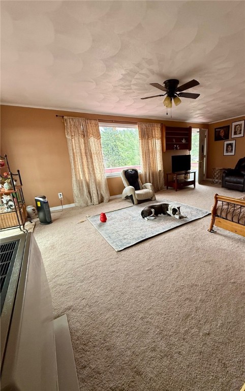 52 Spring Run Road, Dryden, New York image 14