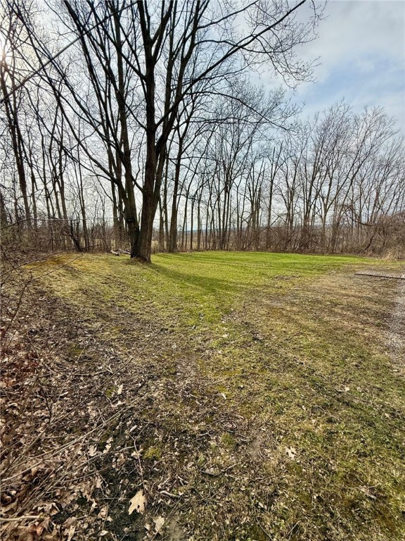 52 Spring Run Road, Dryden, New York image 50