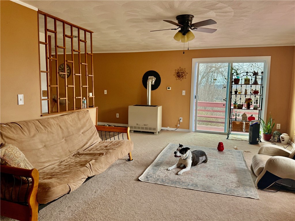 52 Spring Run Road, Dryden, New York image 8