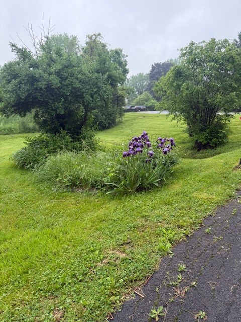 52 Spring Run Road, Dryden, New York image 2