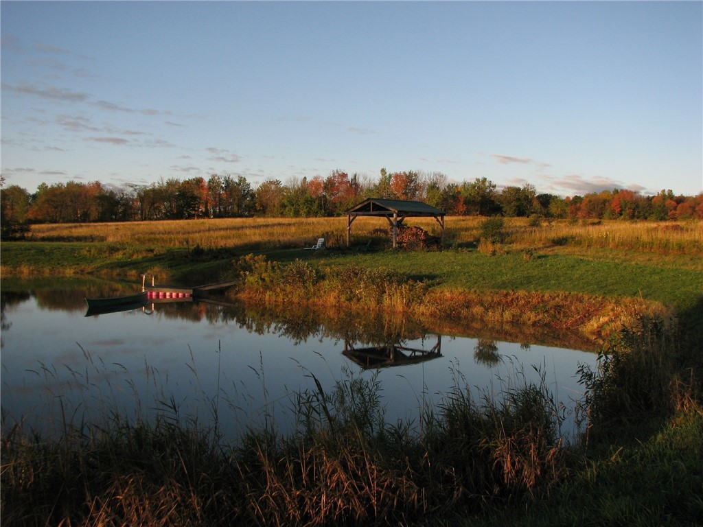 4171 Newtown Road, Hector, New York image 44