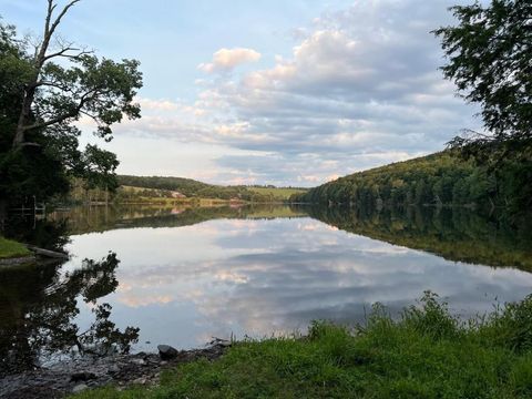 Vacant Land For Sale - 1094 Driftwood Drive<br/> Willet, NY 13863