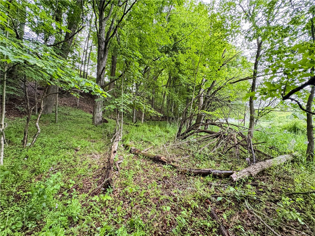 176-A Southworth Road, Dryden, New York image 22