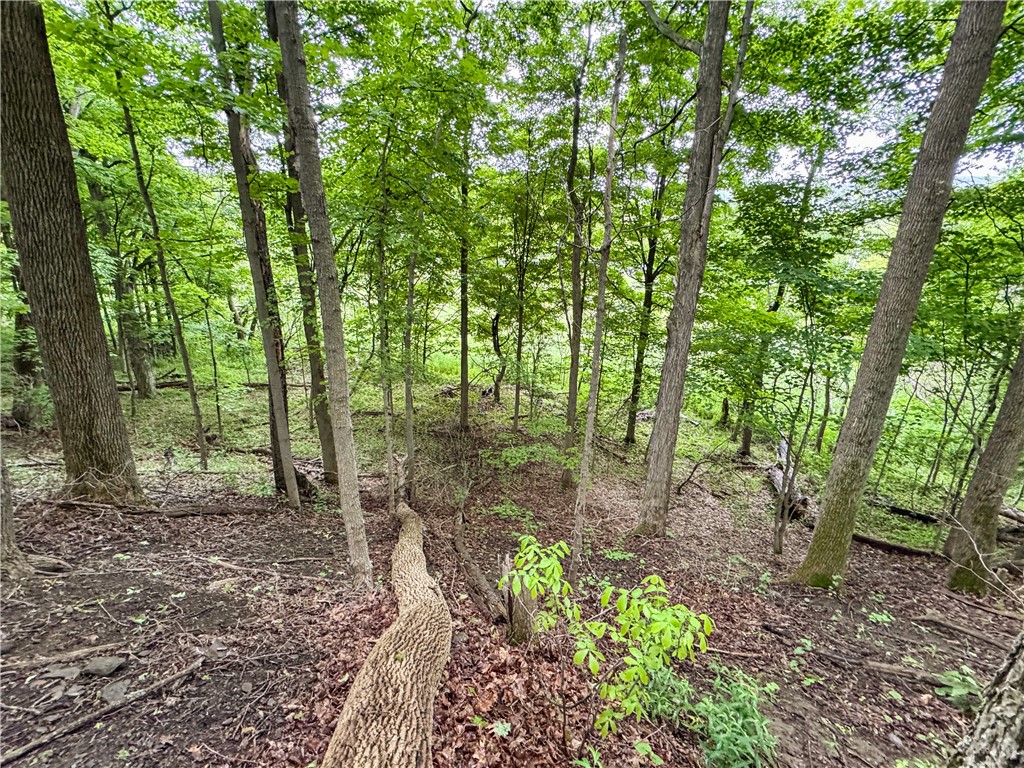 176-A Southworth Road, Dryden, New York image 19