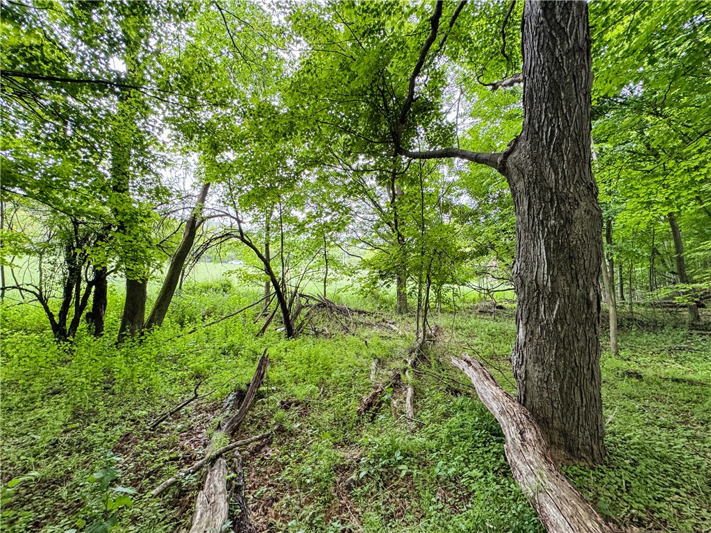 176-A Southworth Road, Dryden, New York image 3