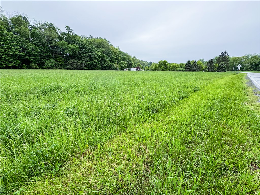 176-A Southworth Road, Dryden, New York image 8