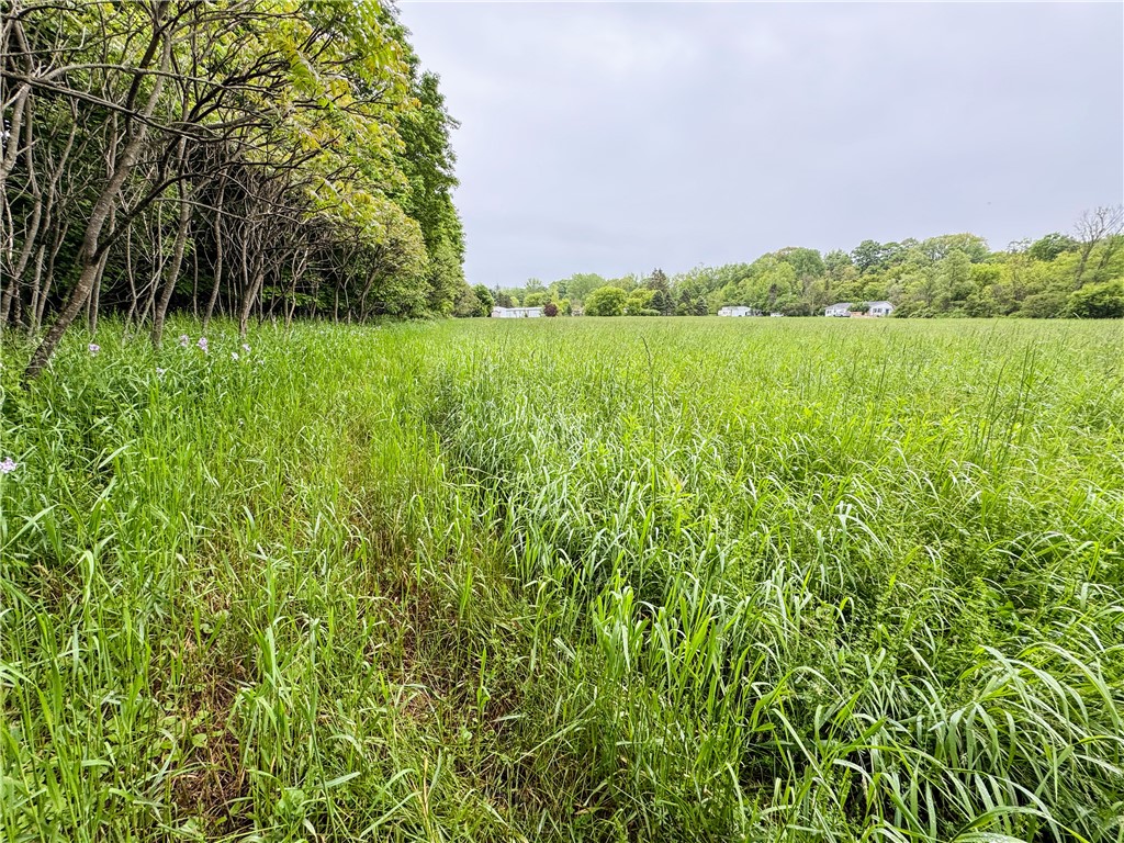 176-A Southworth Road, Dryden, New York image 12