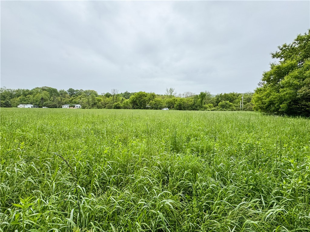 176-A Southworth Road, Dryden, New York image 23