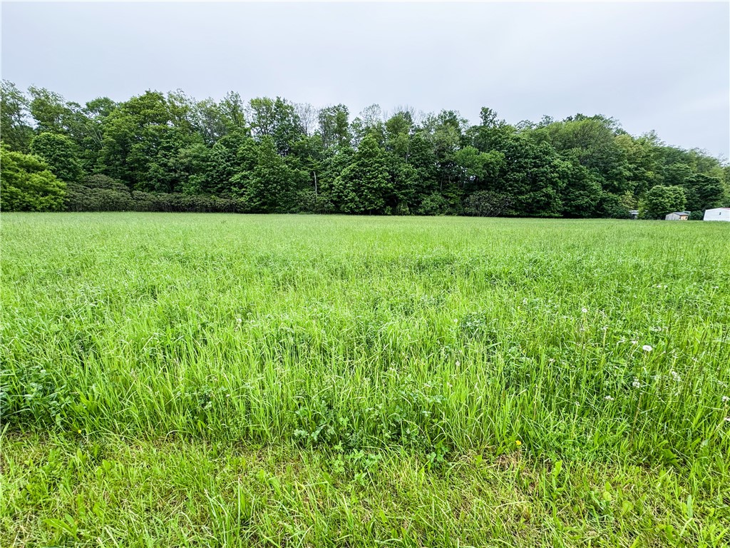 176-A Southworth Road, Dryden, New York image 2
