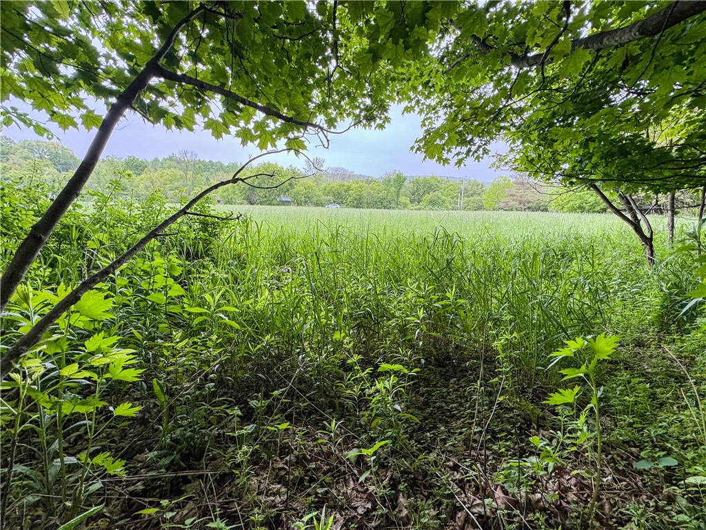 176-A Southworth Road, Dryden, New York image 21