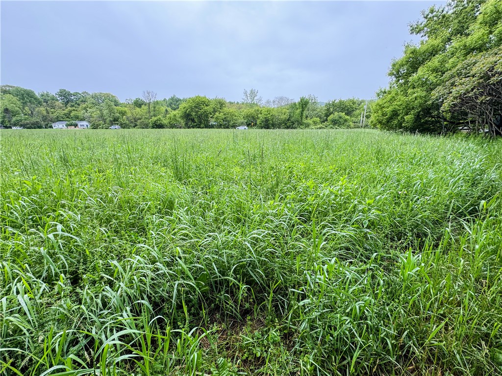 176-A Southworth Road, Dryden, New York image 11