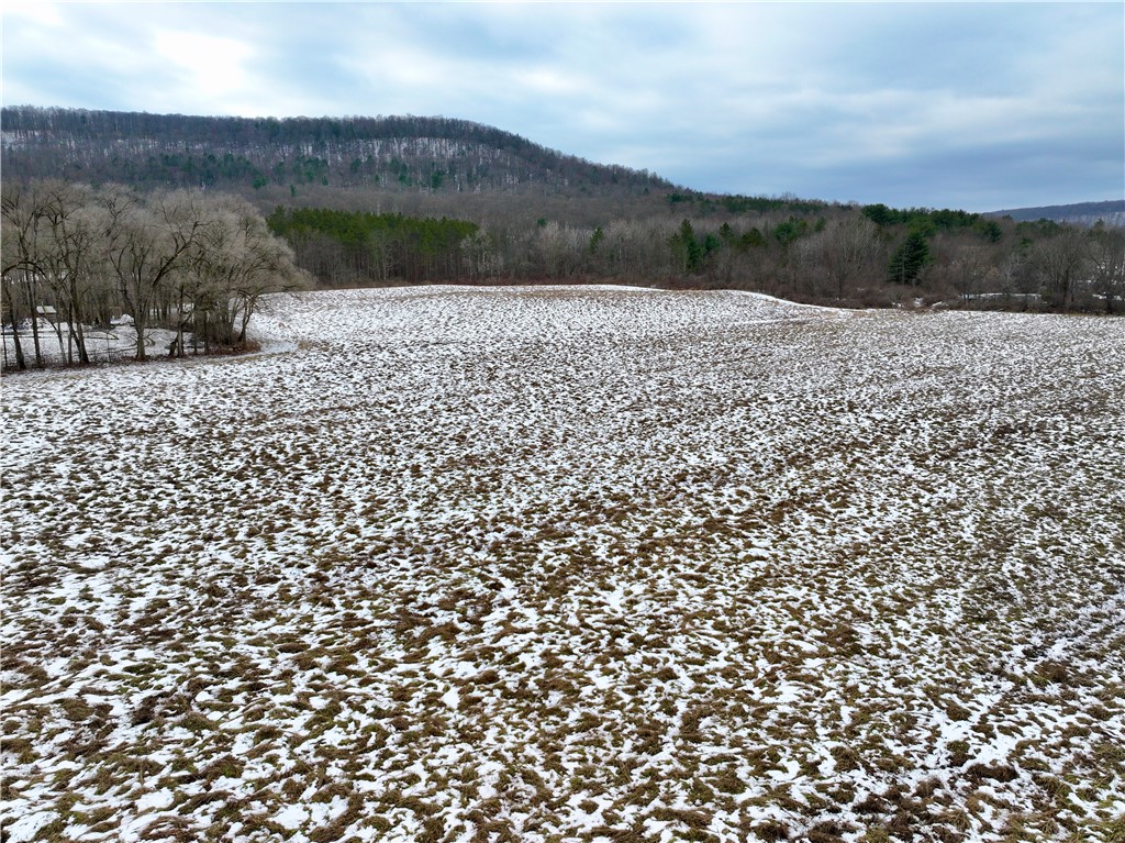 Conkrite Road, Cayuta, New York image 8