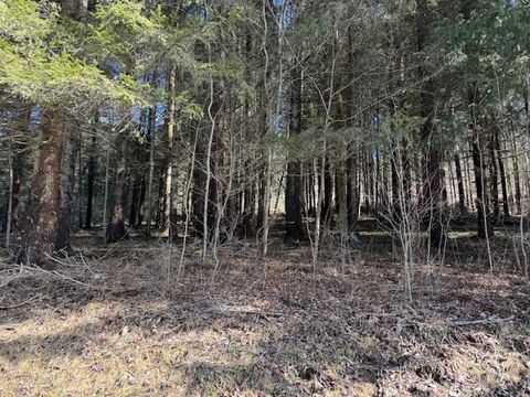 Vacant Land For Sale - Crumtown Road<br/> Spencer, NY 14883