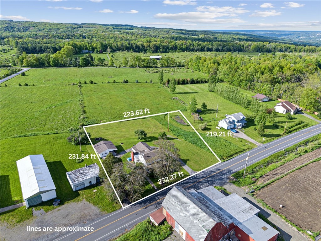 190 Millard Hill Road #B, Newfield, New York image 47
