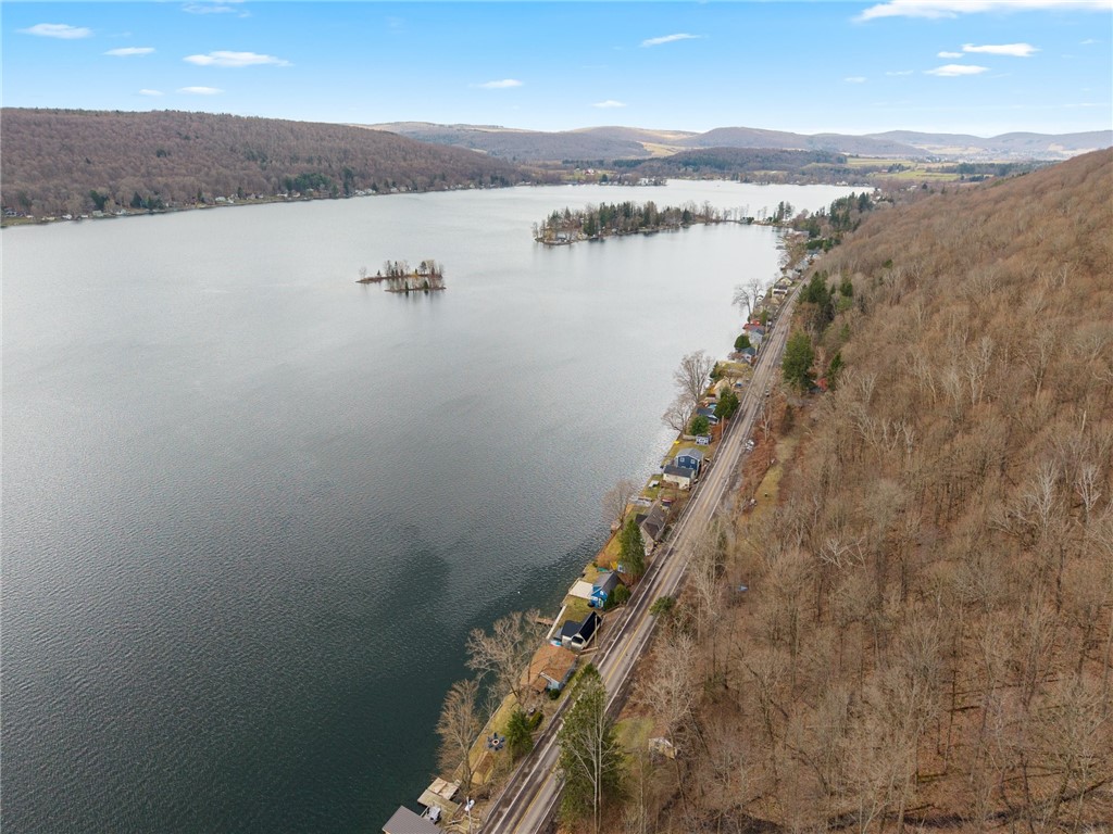 393 W Lake Road, Fabius, New York image 47