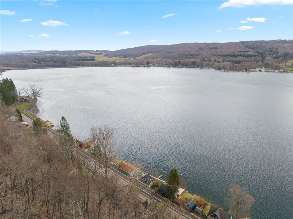 393 W Lake Road, Fabius, New York image 49