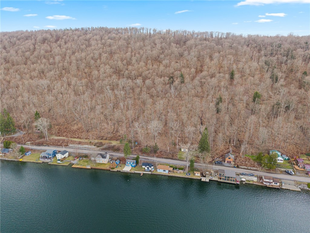393 W Lake Road, Fabius, New York image 46