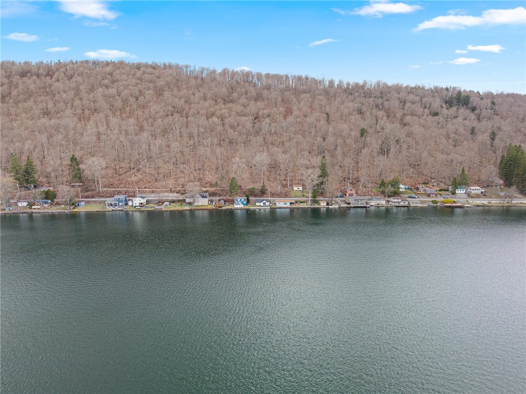 393 W Lake Road, Fabius, New York image 45
