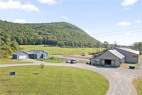 41 Belle School Road Brooktondale NY 14817