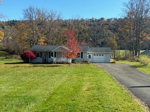 Homes For Sale - 217 Owego Street<br/> Candor, NY 13743