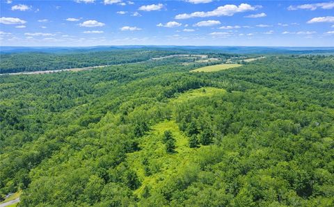 Vacant Land For Sale - Sam Brown Road<br/> Tioga County, Barton, NY 14859