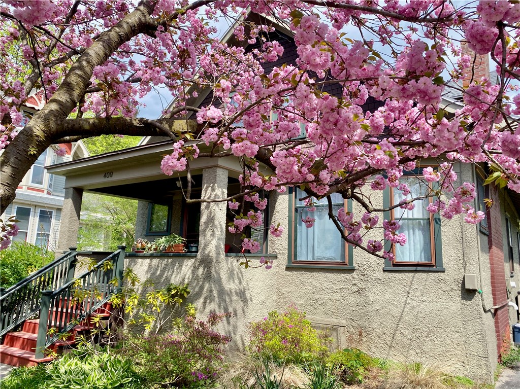 409 S Albany Street, Ithaca, New York image 39
