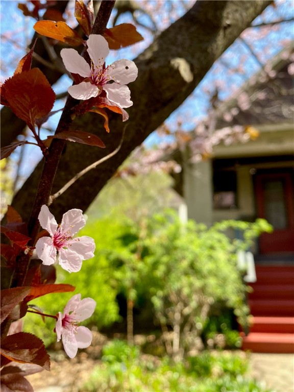 409 S Albany Street, Ithaca, New York image 37