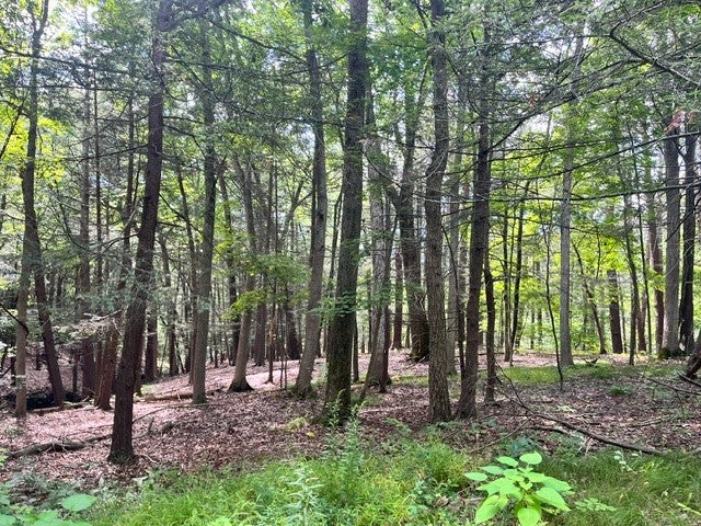 0 (NEAR 896) Cayuga Heights Road