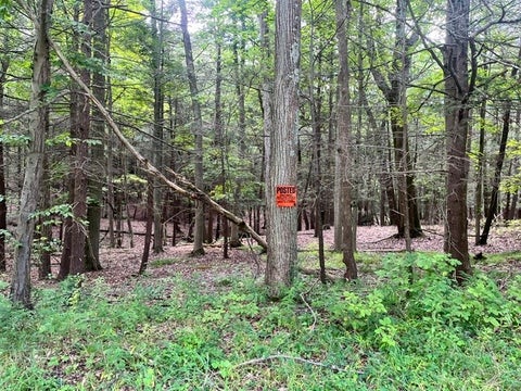 Vacant Land For Sale - 0 (NEAR 896) Cayuga Heights Road<br/> Lansing, NY 14850