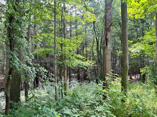 0 (NEAR 896) Cayuga Heights Road