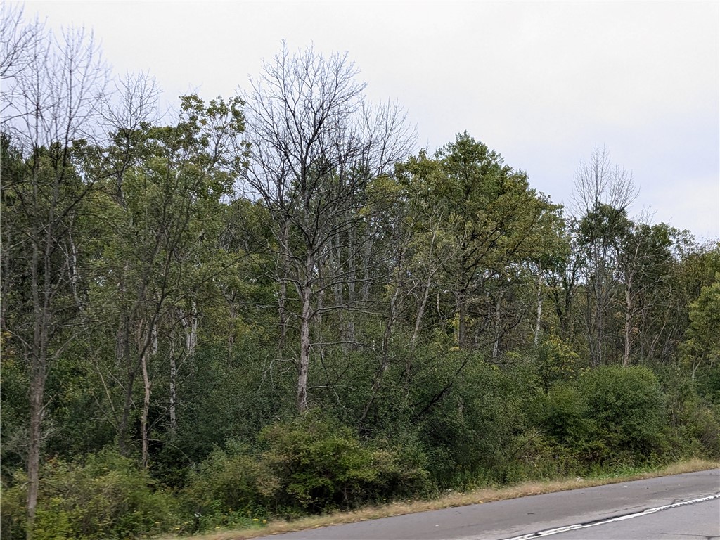 0 Lower Creek Road