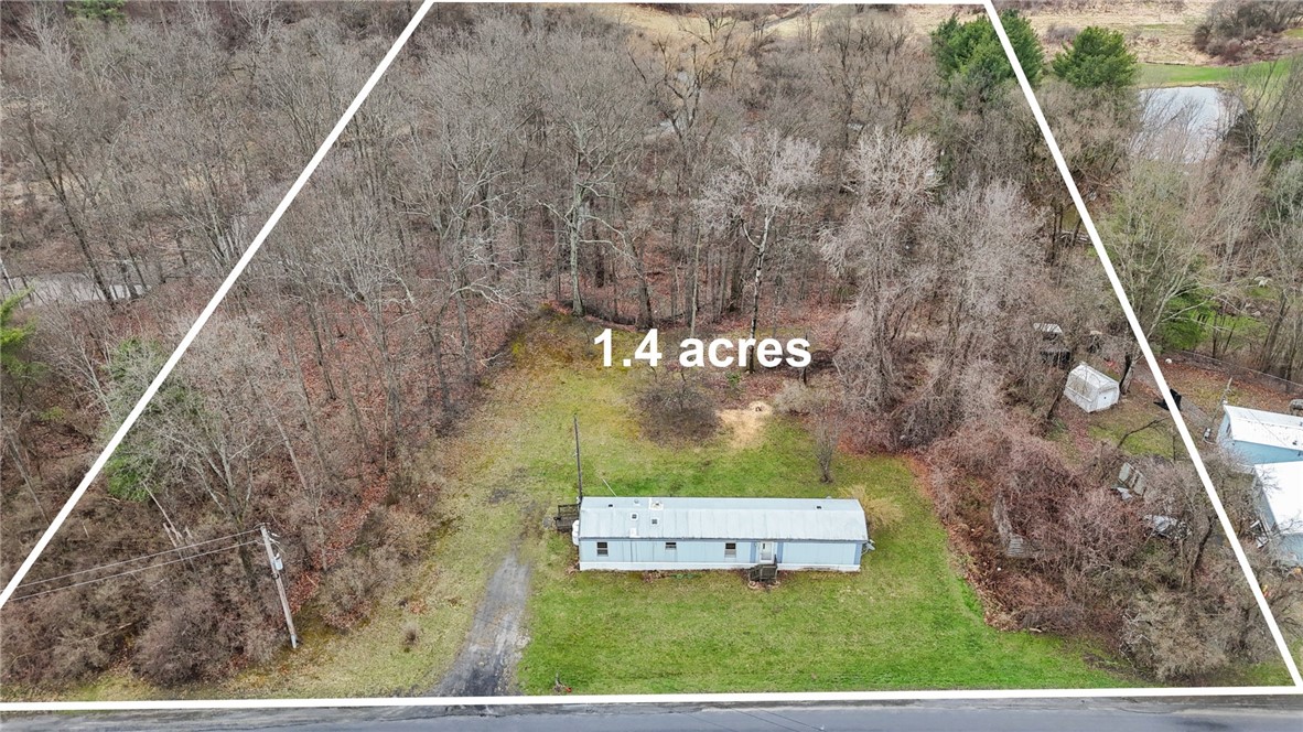 172 Douglas Road, Newfield, New York image 3