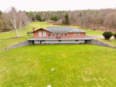 Homes For Sale - 1007 Owego Road<br/> Tioga County, Candor, NY 13743
