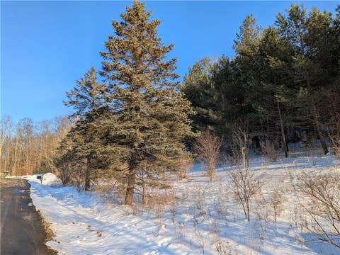 Vacant Land For Sale - Oak Brook Drive<br/> Dryden, NY 14850