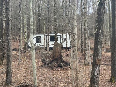 Vacant Land For Sale - Crumtown Road<br/> Spencer, NY 14883