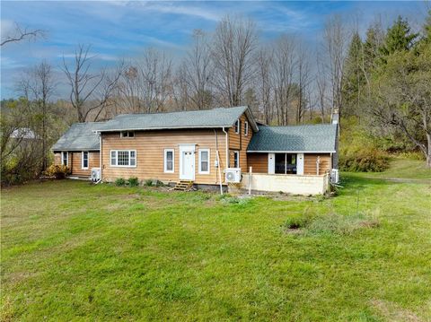 380 Candor Road Spencer NY 14883