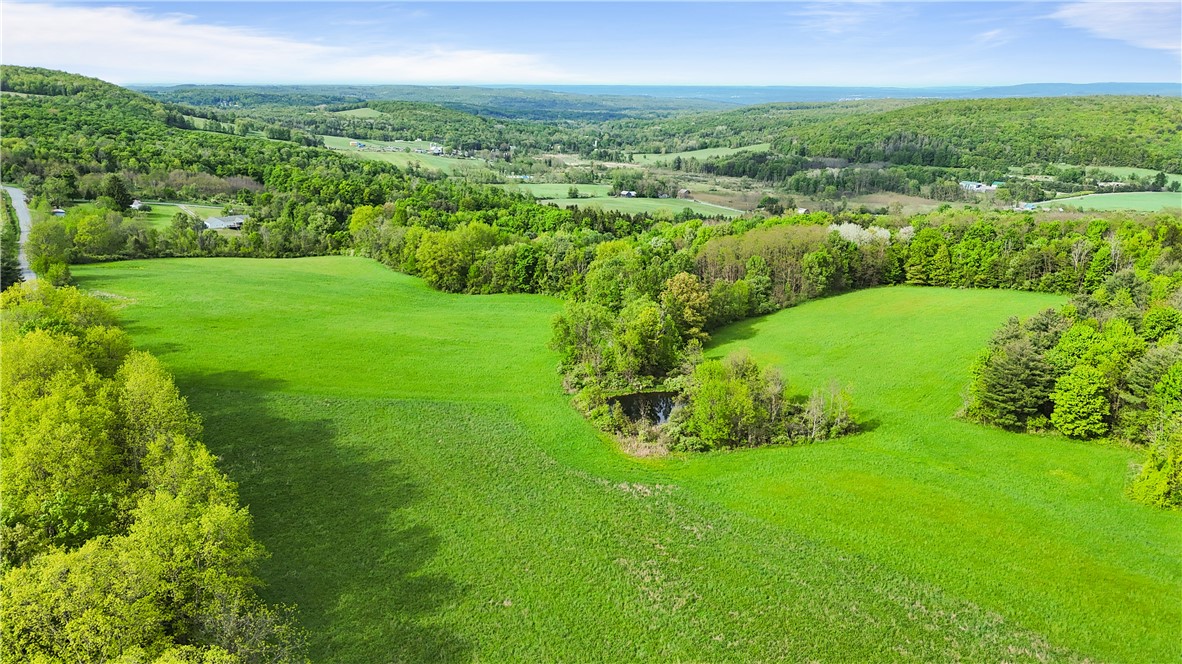 00 Carter Creek Road, Newfield, New York image 11