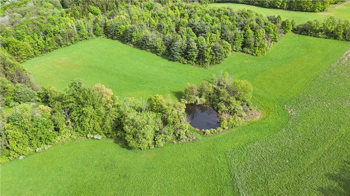 00 Carter Creek Road, Newfield, New York image 9