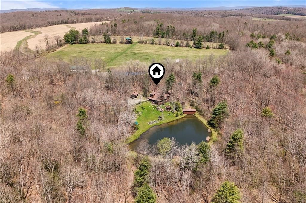 142 Chapel Hill Road, Candor, New York image 44
