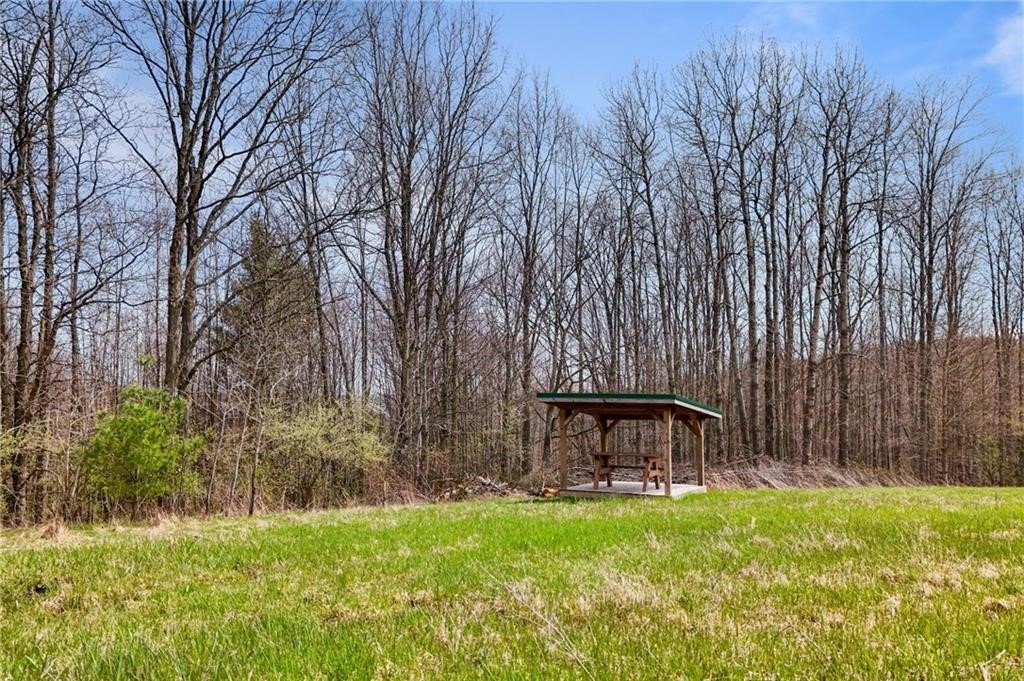 142 Chapel Hill Road, Candor, New York image 38