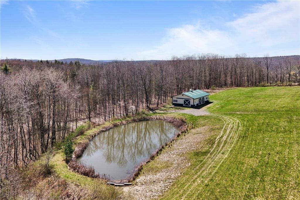 142 Chapel Hill Road, Candor, New York image 37