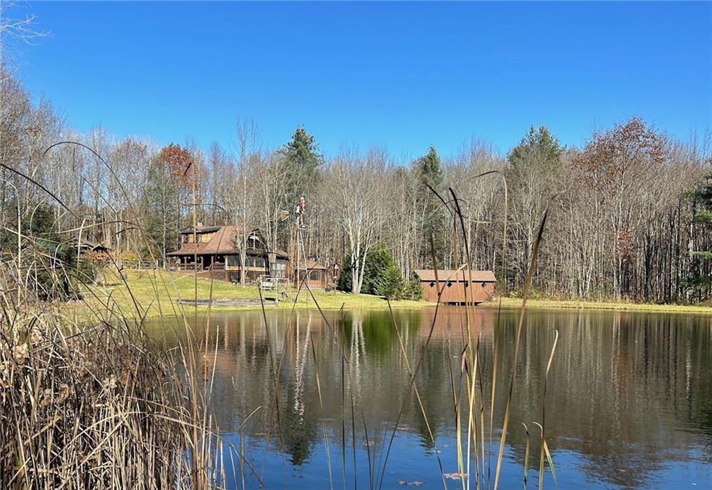 142 Chapel Hill Road, Candor, New York image 4