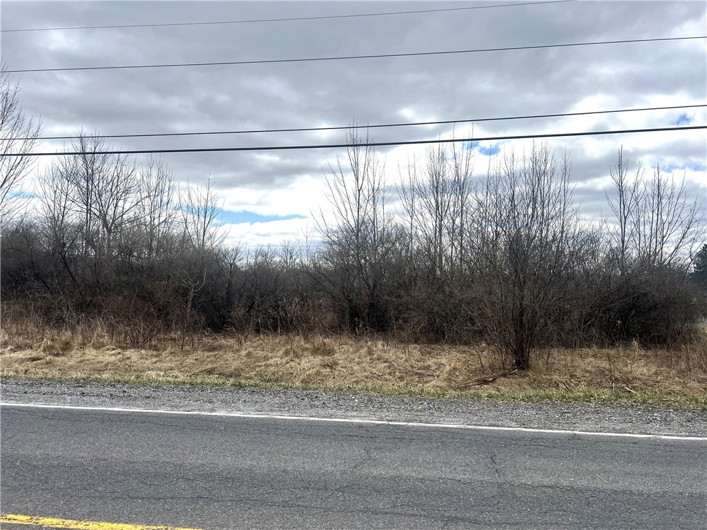 Cherry Road, Lansing, New York image 7
