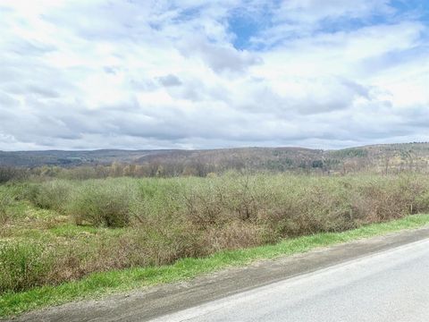 Vacant Land For Sale - Benjamin Hill Road #LOT 0<br/> Tompkins County, Newfield, NY 14867