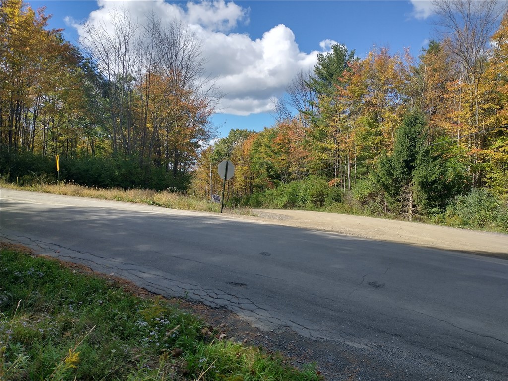 Dawson Hill Road, Spencer, New York image 6