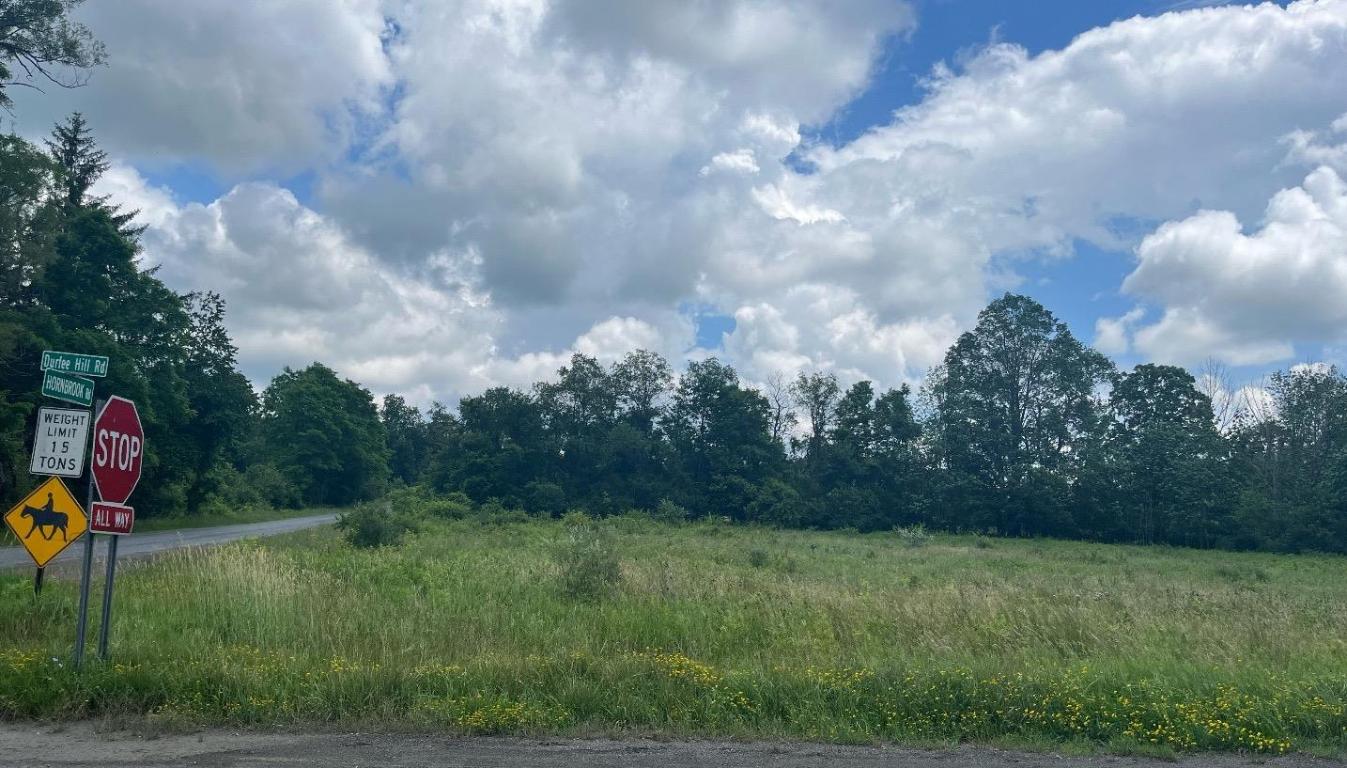 0 HORNBROOK Road