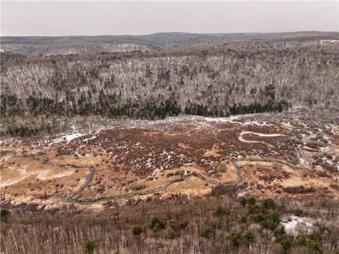 Vacant Land For Sale - 00 Halsey Valley Rd<br/> Spencer, NY 14883