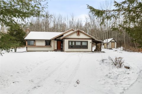 108 S Danby Road Willseyville NY 13864